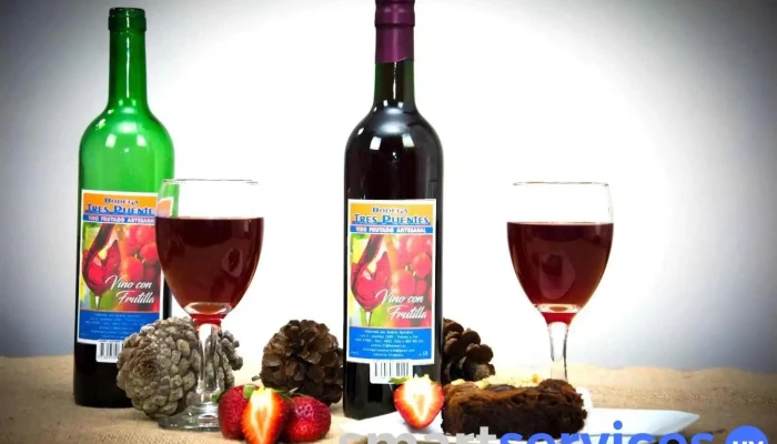 Bodega Tres Puentes Uruguay - 33000 Treinta Y Tres