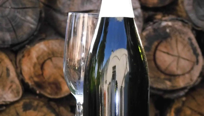 Bodega Trombotti - 600