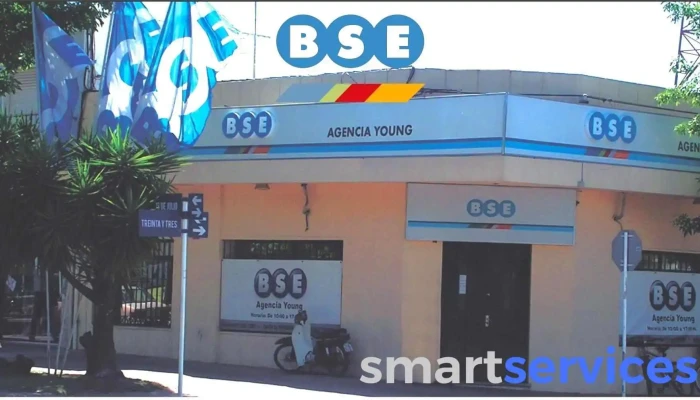 Bse -    Agencia Young Del Propietario - Young
