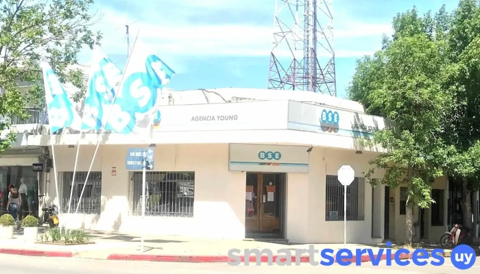 Bse -    Agencia Young Telefono - Young