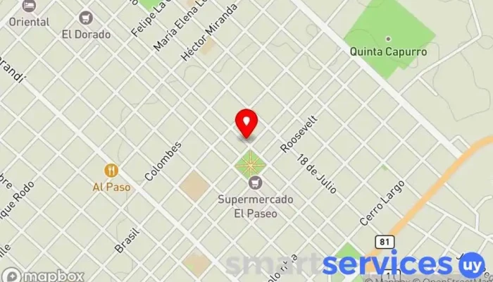mapa de BSE Compañía de seguros en Santa Lucía