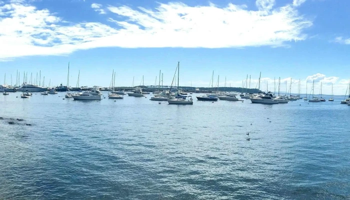 Bus -    0072 Ubicacion - Punta del Este