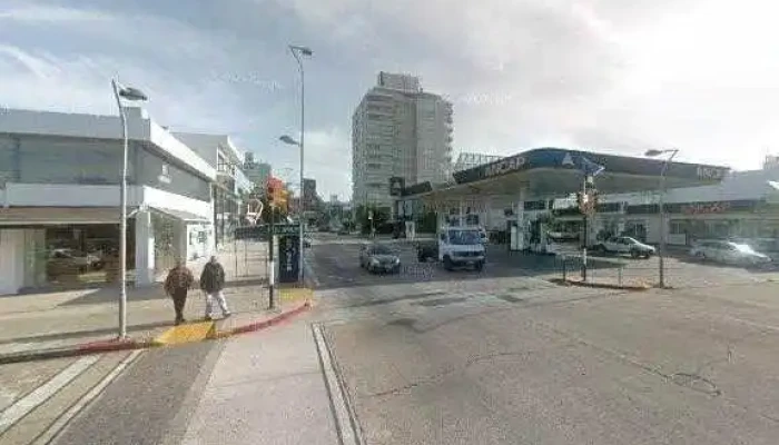 Bus 0081 -  Telefono - Punta del Este