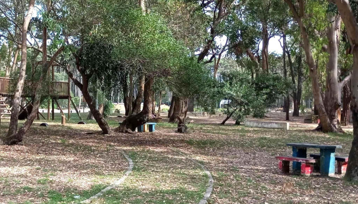Bus Turistico De Rocha Instagram - La Paloma