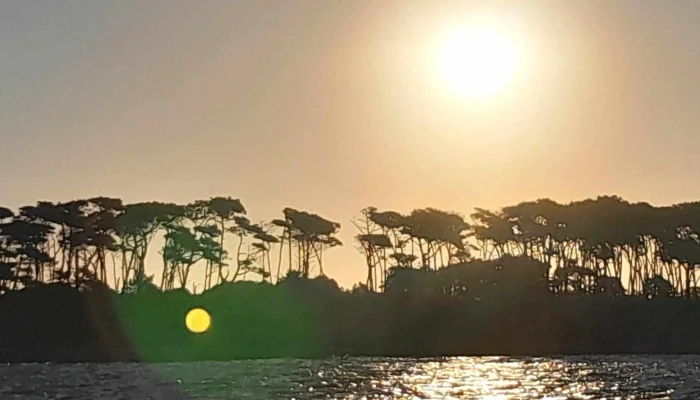 Calypso Charters & Excursiones - Punta Del Este