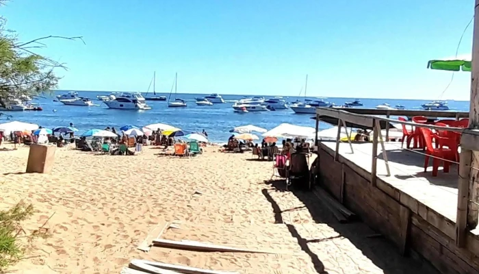 Calypso Charters Excursiones Telefono - Punta del Este