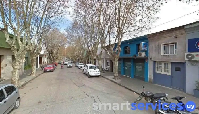 Cambilex - Durazno