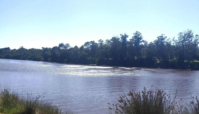 Camping De Parque -  Instagram - Parque del Plata