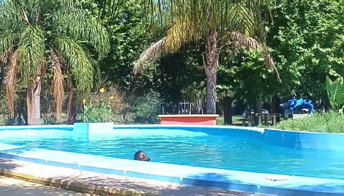 Camping Zorrilla -  De Los Visitantes - Artigas
