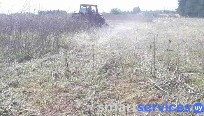 Campo De Antenas De Radiogrupo Sur -  Videos - Juanico