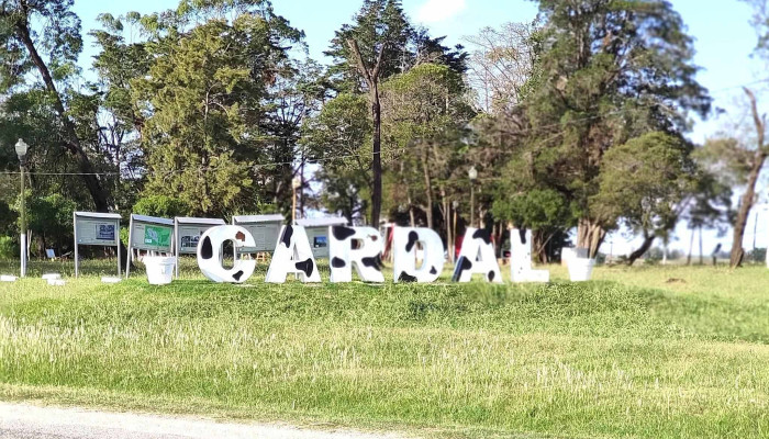 Cardalpueblo De Cardal -  Comentarios - Cardal