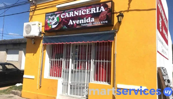 Carniceria Avenida - Pdte. Tomás Berreta
