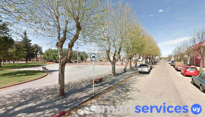 Carrito sauce - 70700 Nueva Palmira