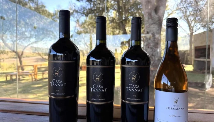 Casa Tannat - Camino De La