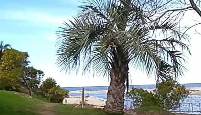 Castillos -  Videos - Castillos
