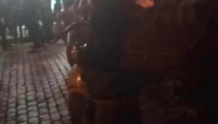 Catedra Alicia Goyena Videos - Montevideo