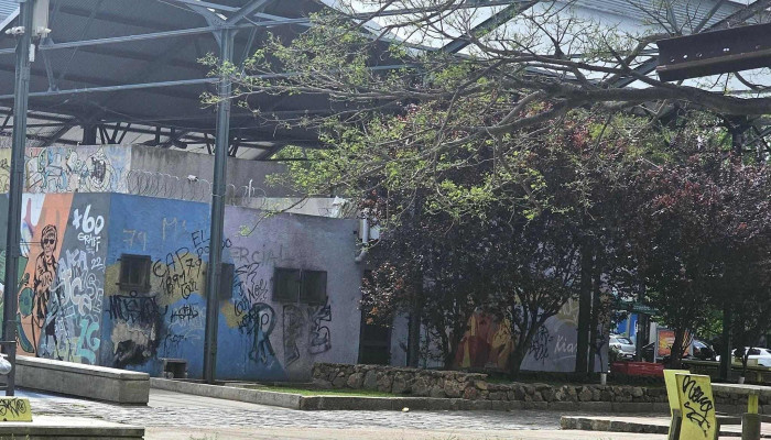 Centro Cultural Terminal Goes -  Sitio Web - Montevideo