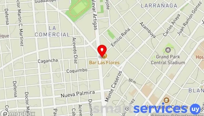 mapa de CENTRO DE COPIADOS  en Montevideo