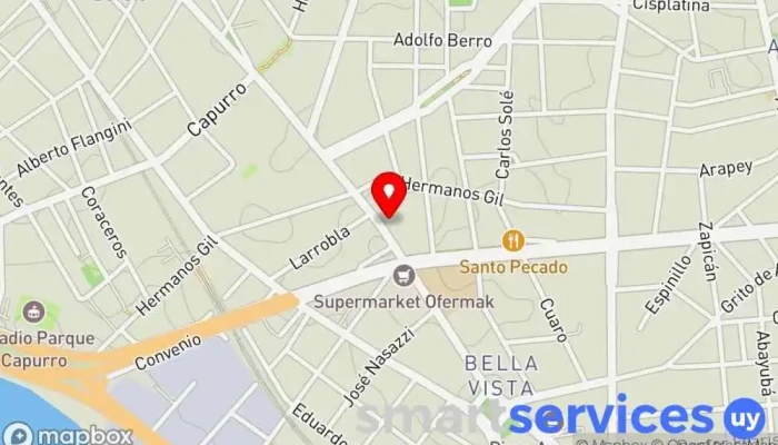 mapa de Centro De Educación Individualizada Escuela en Montevideo