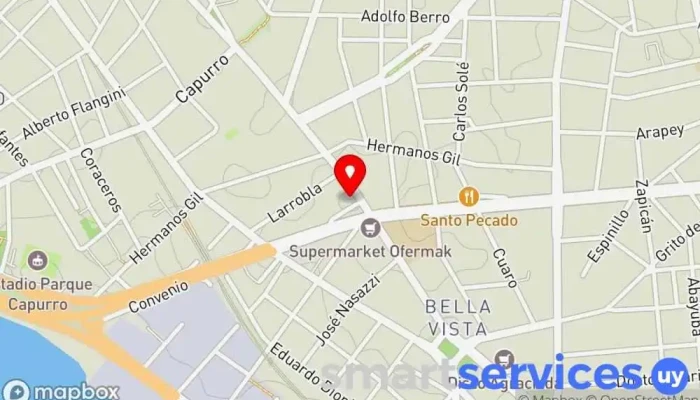 mapa de CERESO DGES Instituto de secundaria en Montevideo