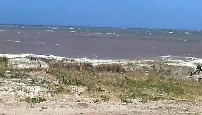 Club Las Toscas -  Videos - Las Toscas