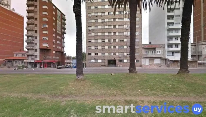 Colegio Cortázar Rayuela - Montevideo
