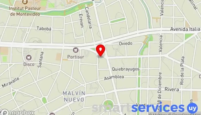 mapa de Colegio Sagrada Familia (HH. Ursulinas) Escuela católica en Montevideo