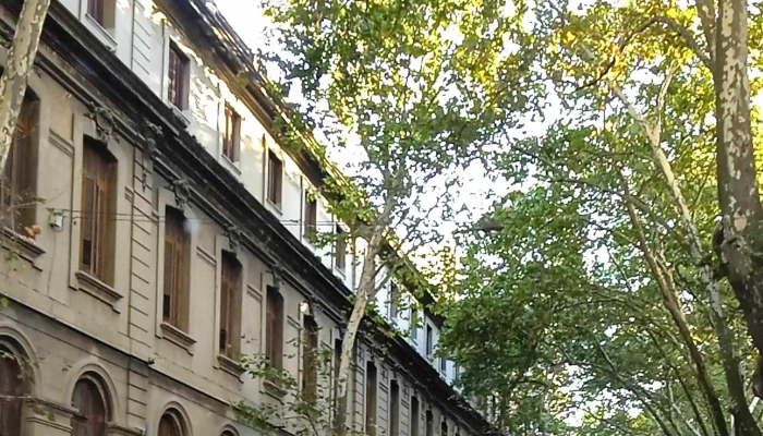 Colegio Santa Teresa De Jesus Telefono - Montevideo