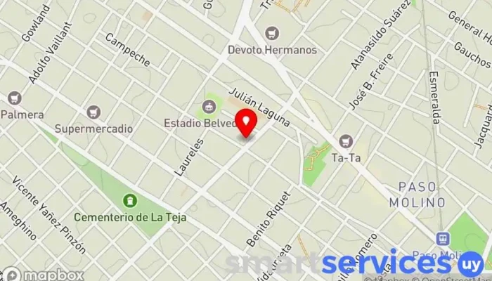mapa de Colegio Van Gogh- Ed. Inicial Pillín Escuela de primaria en Montevideo