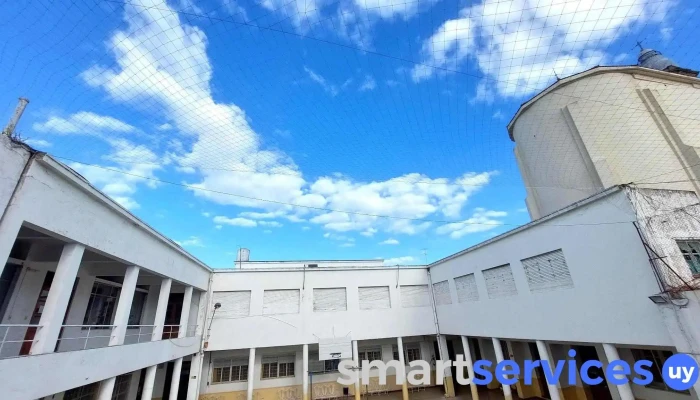 Colegio Y Liceo Nuestra Senora Del Huerto De Florida Sitio Web - Florida