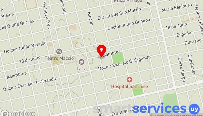 mapa de Colegio y liceo Sagrada Familia Centro educativo en San José de Mayo
