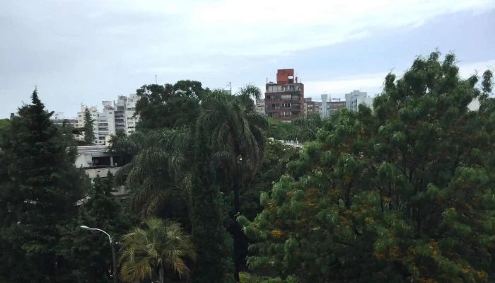 Colegio Y Liceo San Juan Bautista -    Hermanos De La Sagrada Familia Descuentos - Montevideo