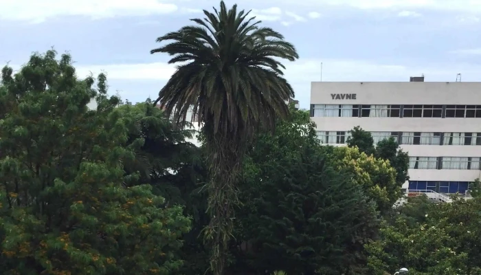 Colegio Y Liceo San Juan Bautista -    Hermanos De La Sagrada Familia Fotos - Montevideo