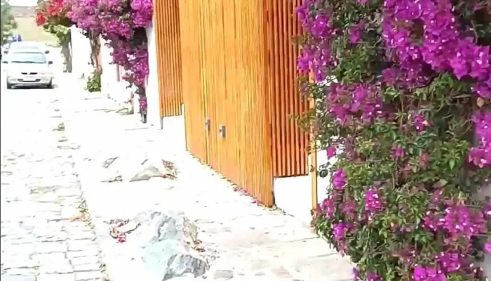 Colonia Experiences Sacramento Tours   Agencia Online De Tours Videos - Carmelo