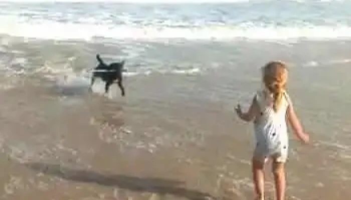 Conaguademar -  Videos - La Paloma