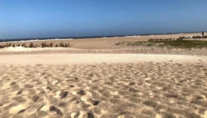 Conaguademar -  Zona - La Paloma