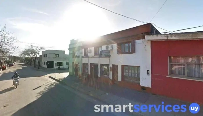 Coquetos - 27200 Castillos