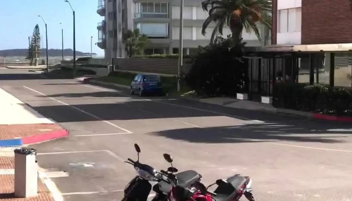 Cot -  Videos - Punta del Este