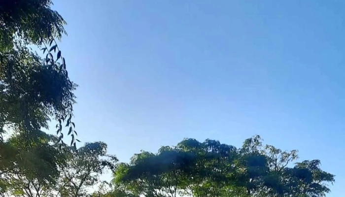De Termo Y Mate -  Puntaje - Montevideo