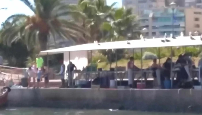 Dimartours Descuentos - Punta del Este
