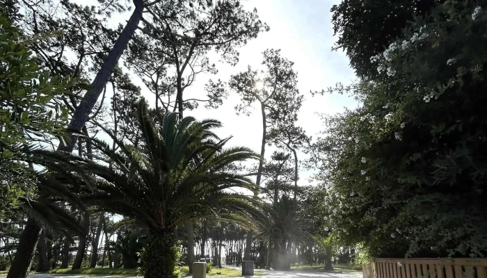 Dimartours Horario - Punta del Este