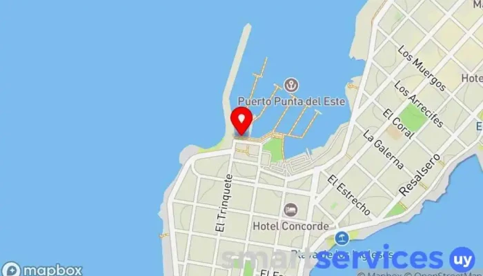 mapa de DimarTours Agencia de excursiones en barco, Excursiones de pesca, Agencia de visitas turísticas, Agencia de viajes en Punta del Este