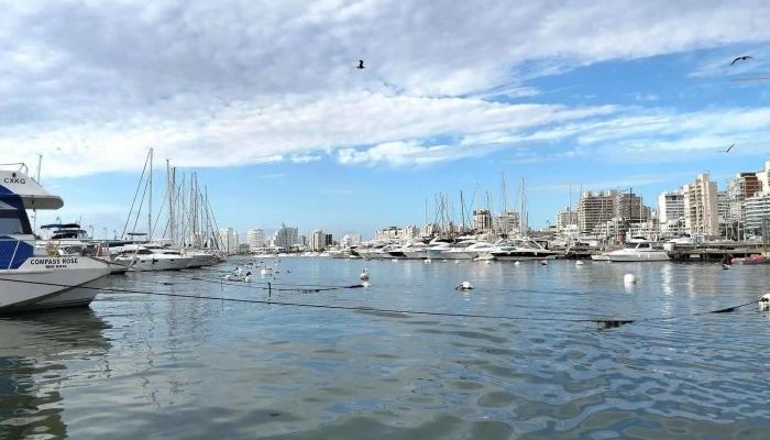 Dimartours Mas Recientes - Punta del Este