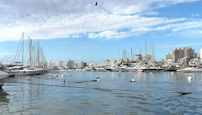 Dimartours Telefono - Punta del Este