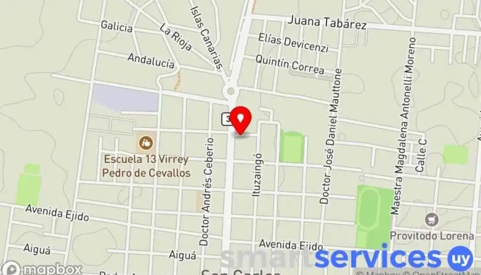 mapa de DISA Gasolinera en San Carlos