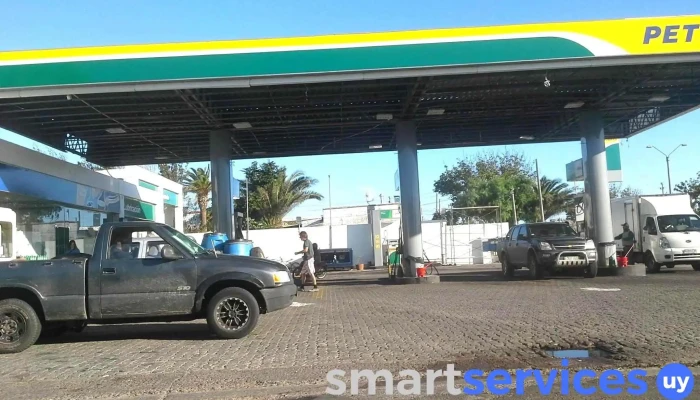 Disa -  Surtidor De Combustible - San Carlos