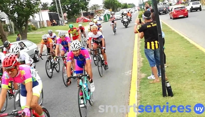 Disa -  Videos - San Carlos
