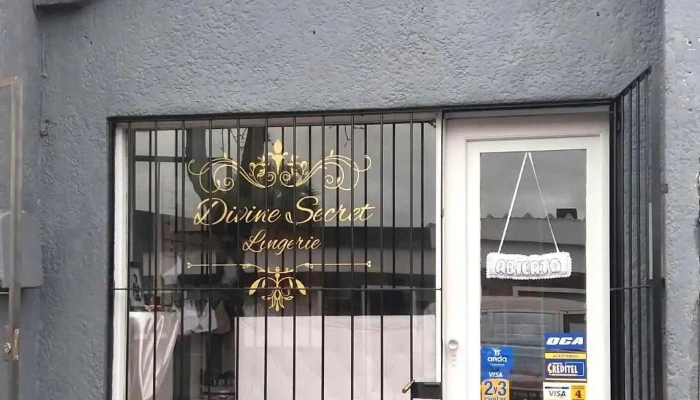 Divine Secret Lingerie - 27200 Castillos