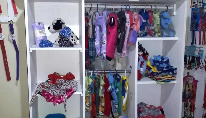 Dog Clothing Artigas - 25 De Agosto