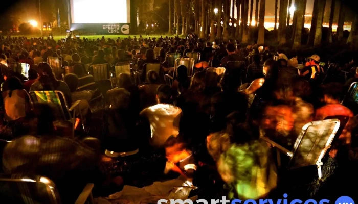 Efecto Cine -  Pantalla Para Proyector - Montevideo